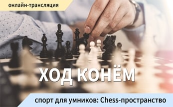 «Ход конём» - спорт для умников: Сhess-пространство