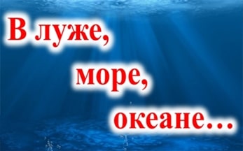 Библиомозаика «В луже, в море, в океане…»