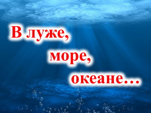 В луже, море, океане...