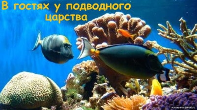 В гостях у подводного царства