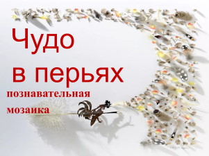 Чудо в перьях. Познавательная игра